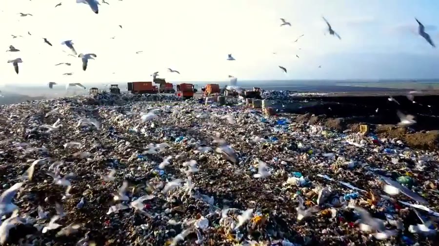 1 Billion Reasons to Switch to 100% Recyclable Pouches